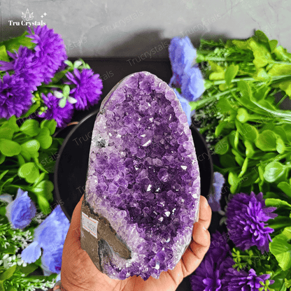 Exclusive Amethyst Geode (Brazil) AAAA Star Quality - Anandi