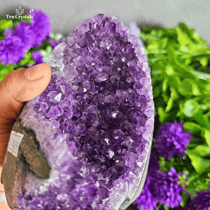 Exclusive Amethyst Geode (Brazil) AAAA Star Quality - Anandi