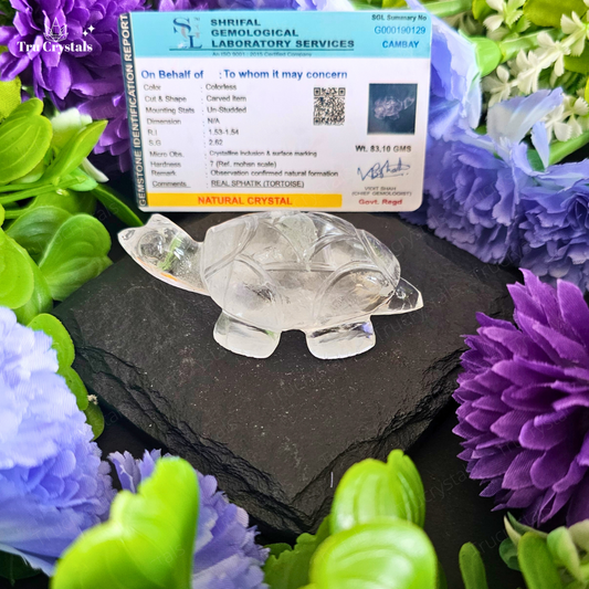 Clear Quartz Tortoise For Luck and Abundance- certified