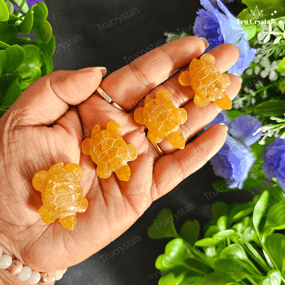 Golden Citrine Quartz Mini Turtles