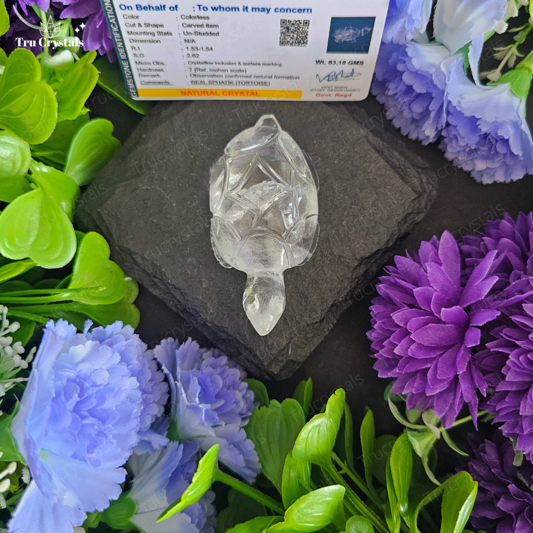 Clear Quartz Tortoise For Luck and Abundance- certified