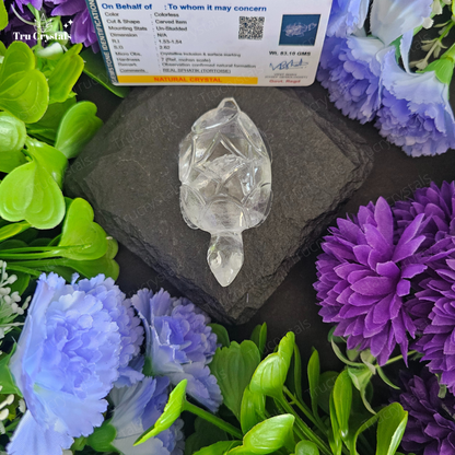 Clear Quartz Tortoise For Luck and Abundance- certified