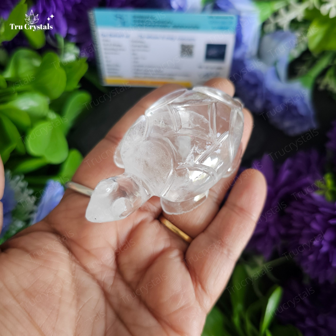 Clear Quartz Tortoise For Luck and Abundance- certified