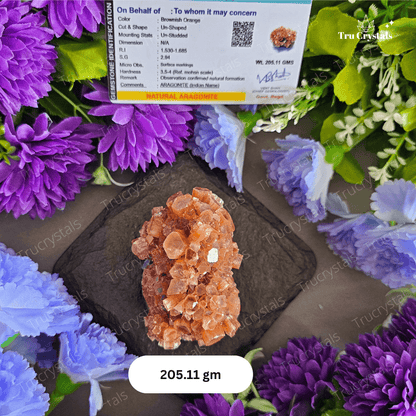 Natural Aragonite Rough Flowers For Quick Healing