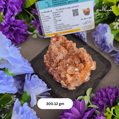 Natural Aragonite Rough Flowers For Quick Healing