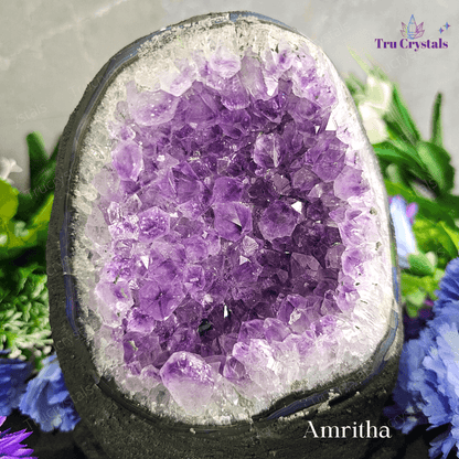 Amethyst Geodes from Brazil (Exquisite AAA+ Grade)- Amritha