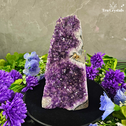 Brazallian (AAAA) Amethyst Geode –  Abhirami