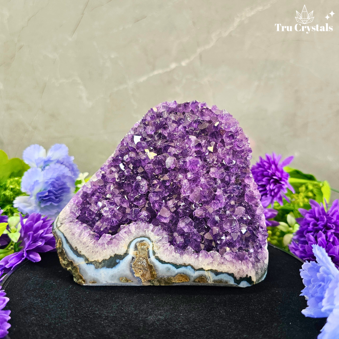 Brazallian (AAAA) Amethyst Geode –  Amba