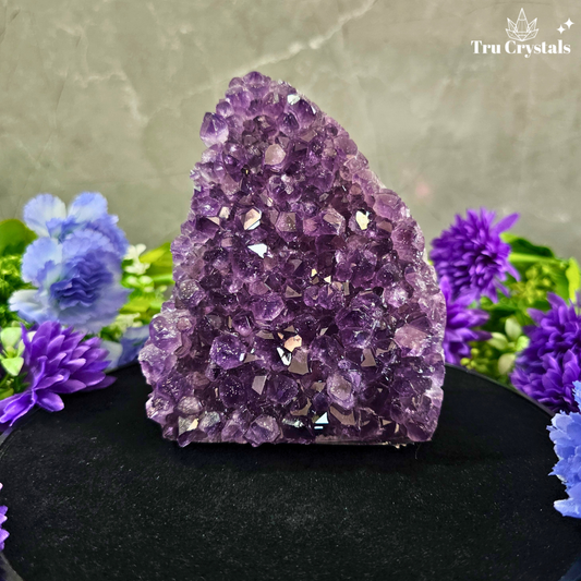 Brazallian (AAAA) Amethyst Geode –  Aisiri