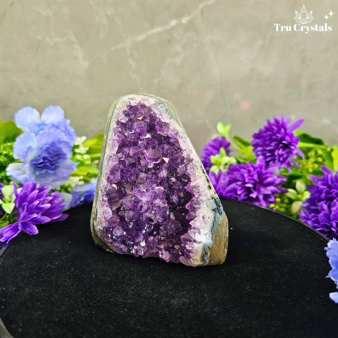 Brazallian (AAAA) Amethyst Geode –  Anuka