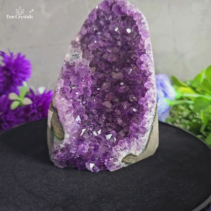 Exclusive Amethyst Geode (Brazil) AAAA Star Quality - Anandi