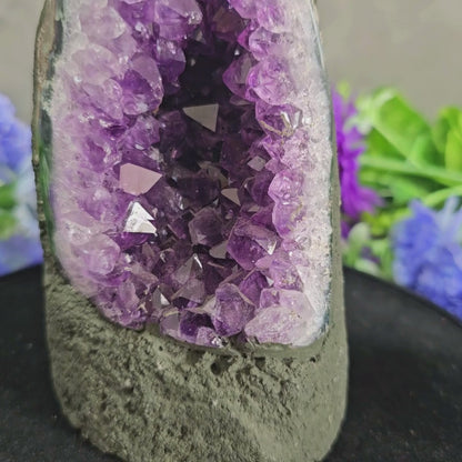 Brazilian Amethyst Geode (Exquisite AAA+ Grade)-Adhira