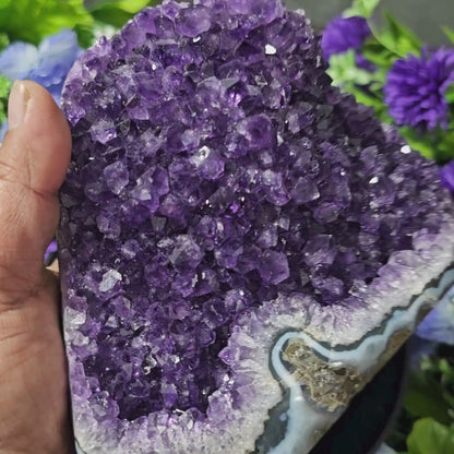 Brazallian (AAAA) Amethyst Geode –  Amba