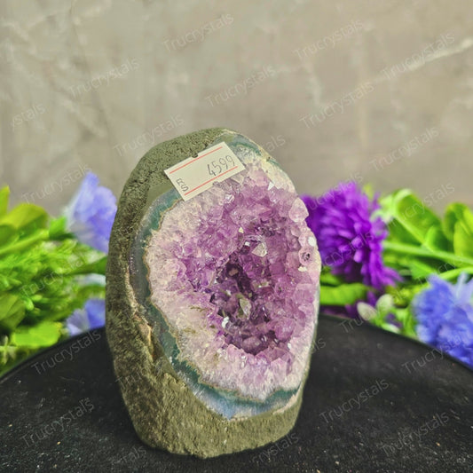 Brazilian Amethyst Geode - AA -Aashi