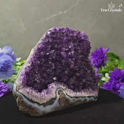 Brazallian (AAAA) Amethyst Geode –  Amba