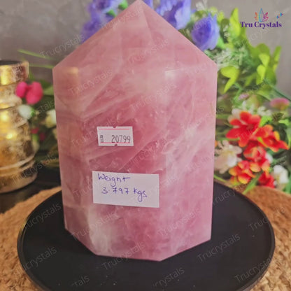 Jumbo Rose Quartz Tower/Point