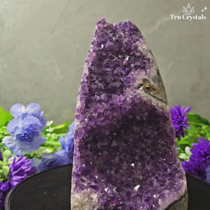 Brazallian (AAAA) Amethyst Geode –  Abhirami