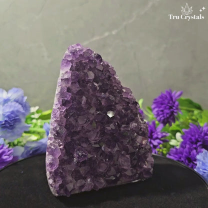 Brazallian (AAAA) Amethyst Geode –  Aisiri