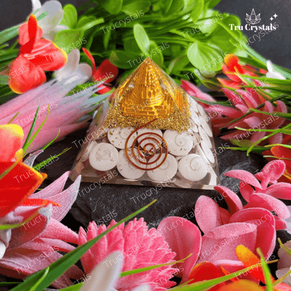 Gomati chakra With Sri Chakra Pyramid- To Attract Godess Lakshmi