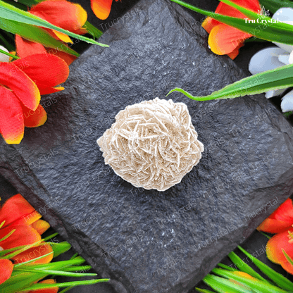 Desert Selenite Rose