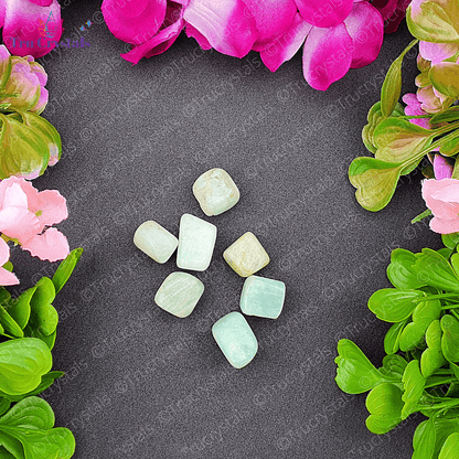 Amazonite Tumbles (Pack of 4)