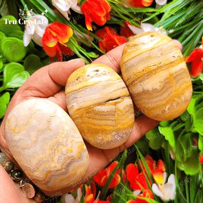 Crazy Lace Agate Palm stone For Free Flow of Life Energies