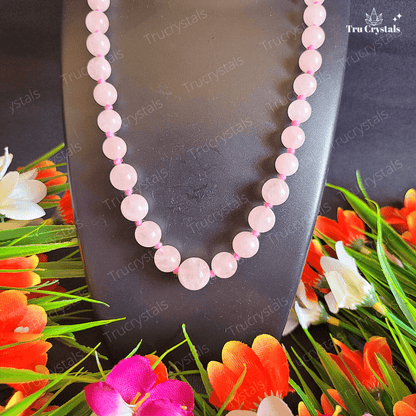 Rose Quartz Necklace