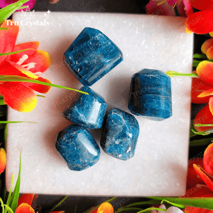 Blue Apatite Tumbles- Pack of 4